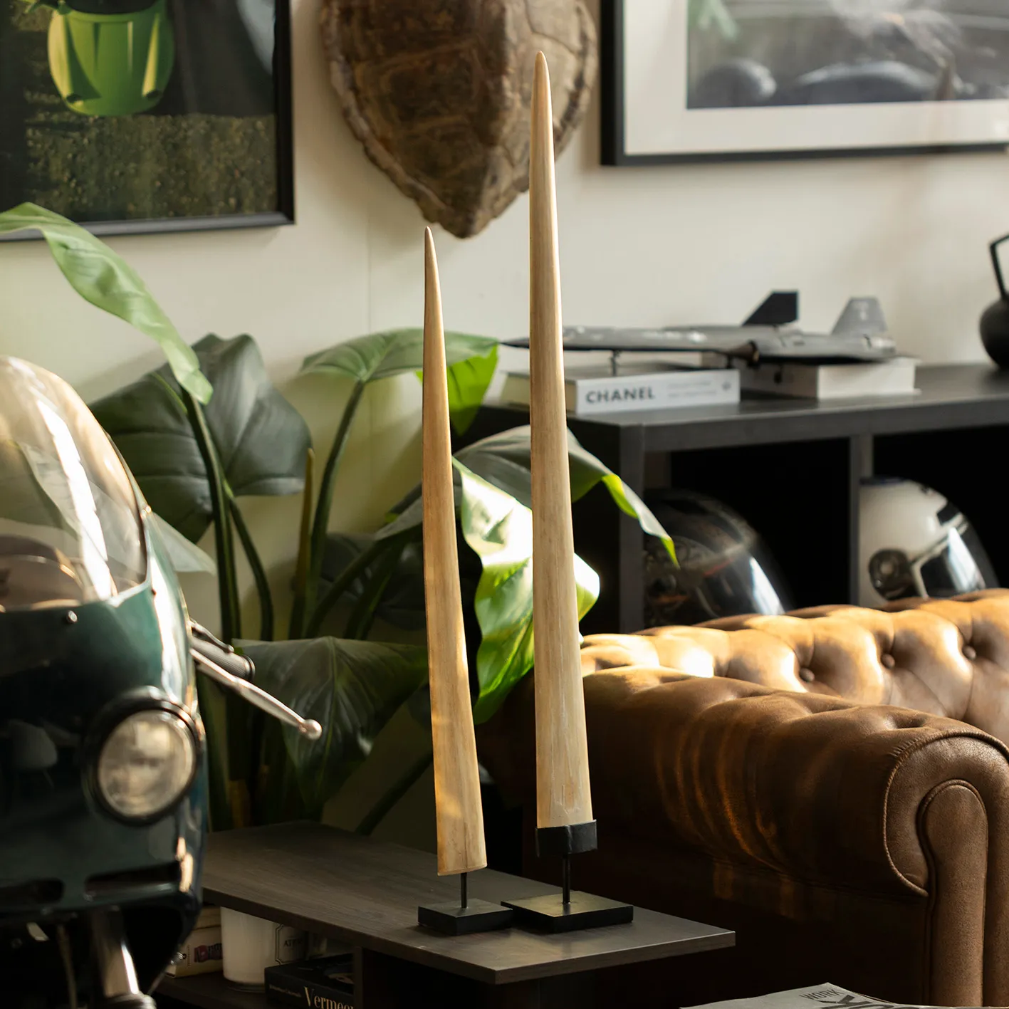 Rostro di pesce spada 75-92cm